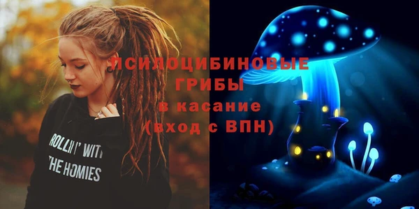 дживик Арсеньев