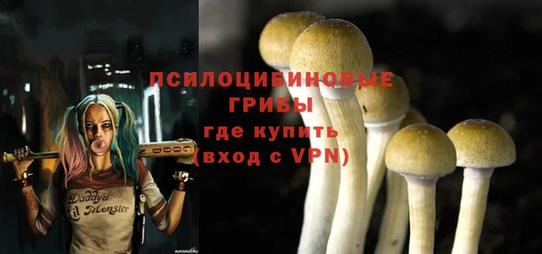 а пвп мука Пересвет