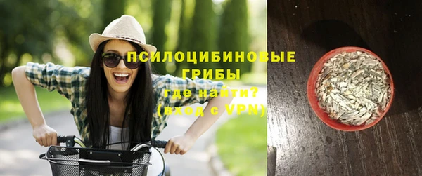 spice Алзамай