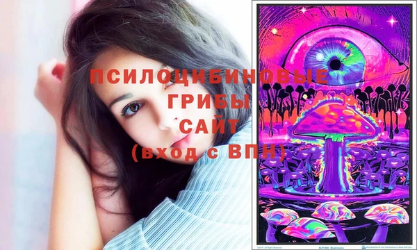 spice Алзамай