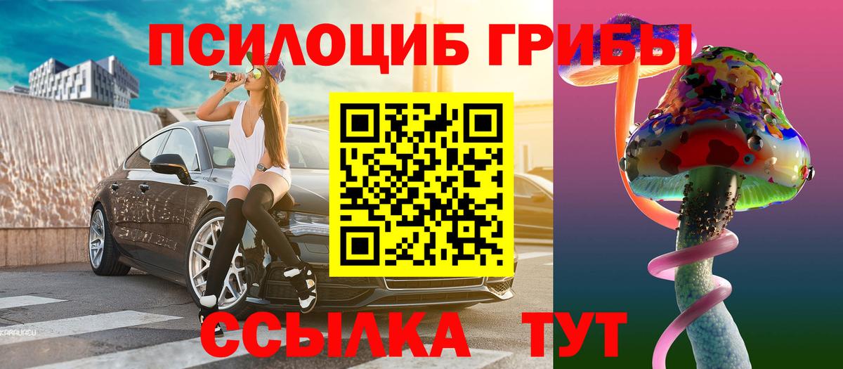 Ленинск-Кузнецкий  Галлюциногенные грибы прущие грибы  Вход с VPN  Галлюциногенные грибы MAGIC MUSHROOMS 